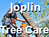 Tree Service and Removal  Joplin, MO